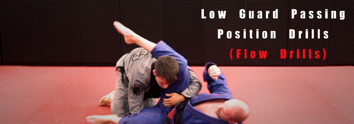 Low Guard Passing