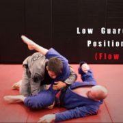 Low Guard Passing